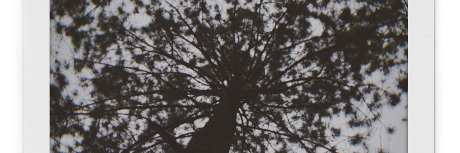tegarnursatya's profile banner image