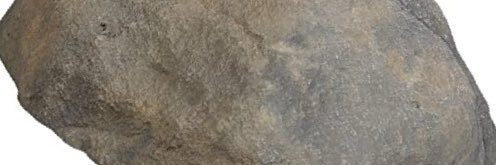 polanskind's profile banner image