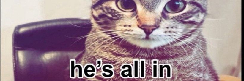 ditzypup 💜🏳️‍⚧️'s banner