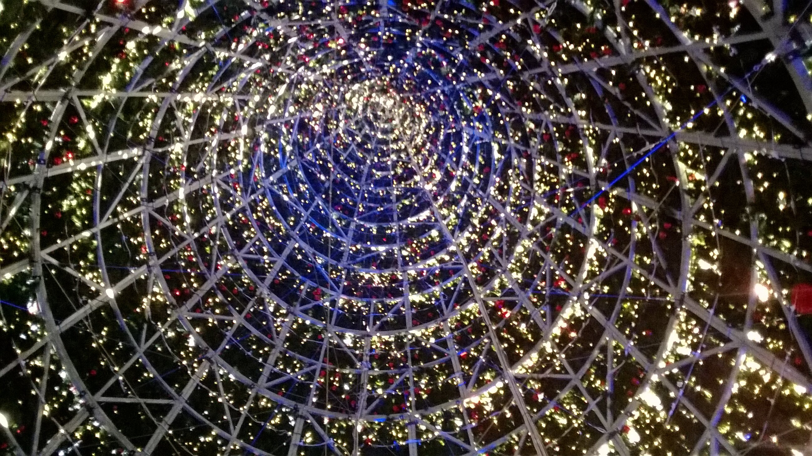 Emma Louise Scott banner