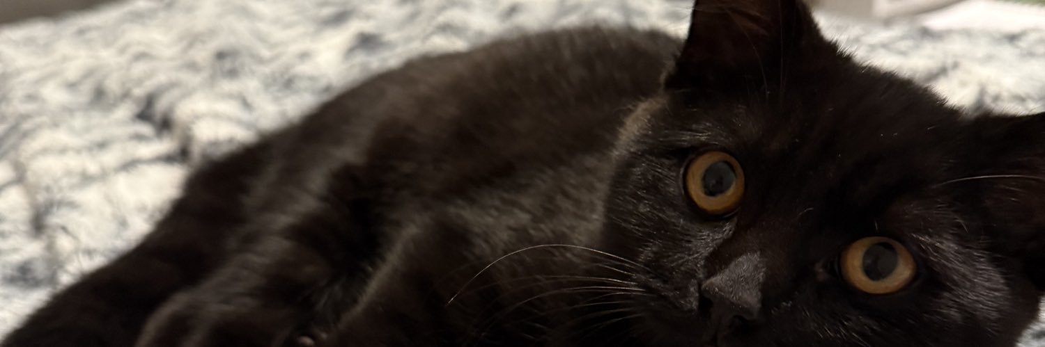 MillzyHM's profile banner image