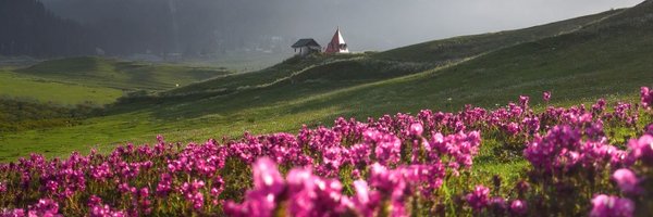 Imsofiaijaz__ Profile Banner