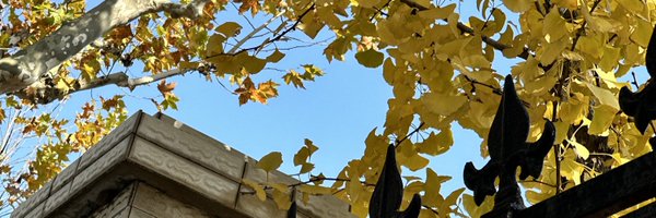 pingpiinz Profile Banner