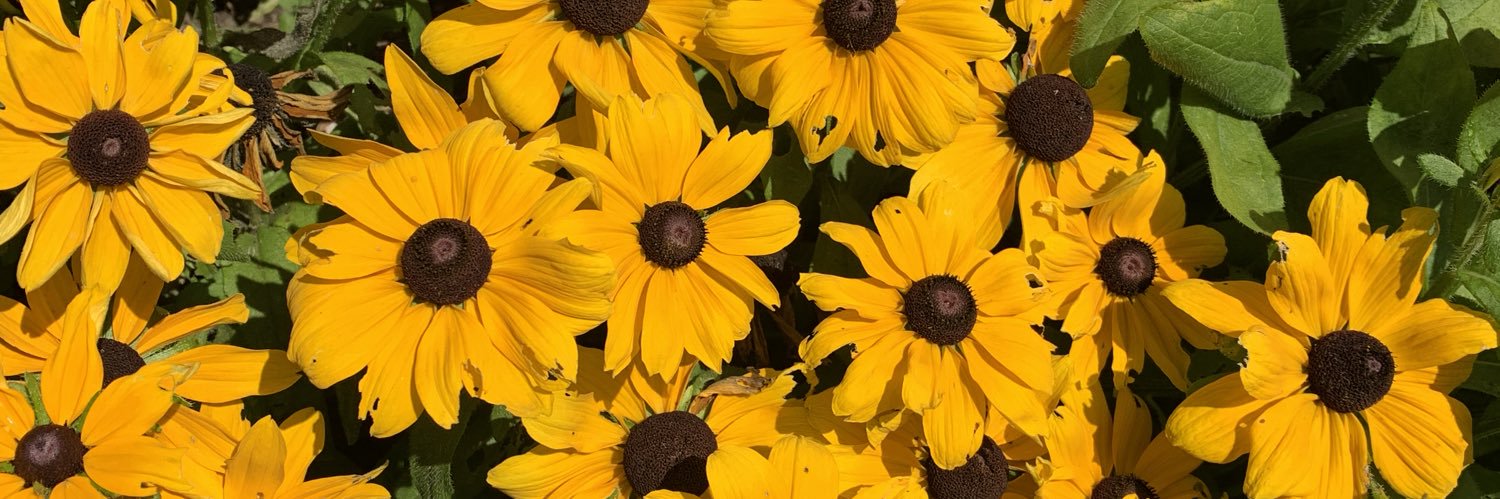 Floor (she/her) banner