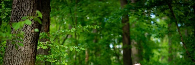 Callista the Fae (Original Character Parody) banner