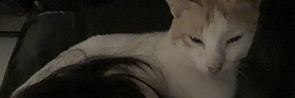 wheresradit Profile Banner