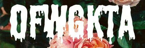 HazeSanity banner