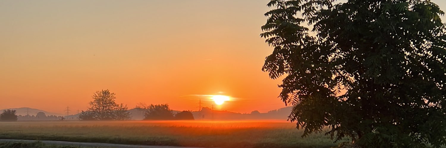 Pädu banner