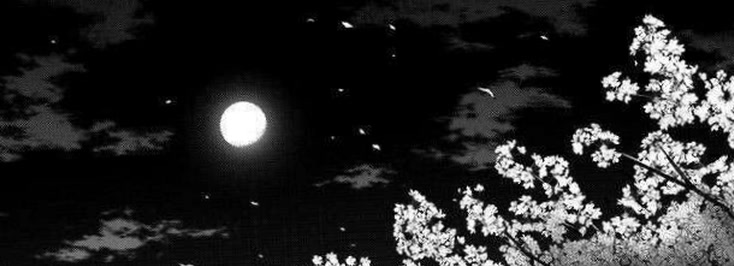 kiyoasa4841's profile banner image