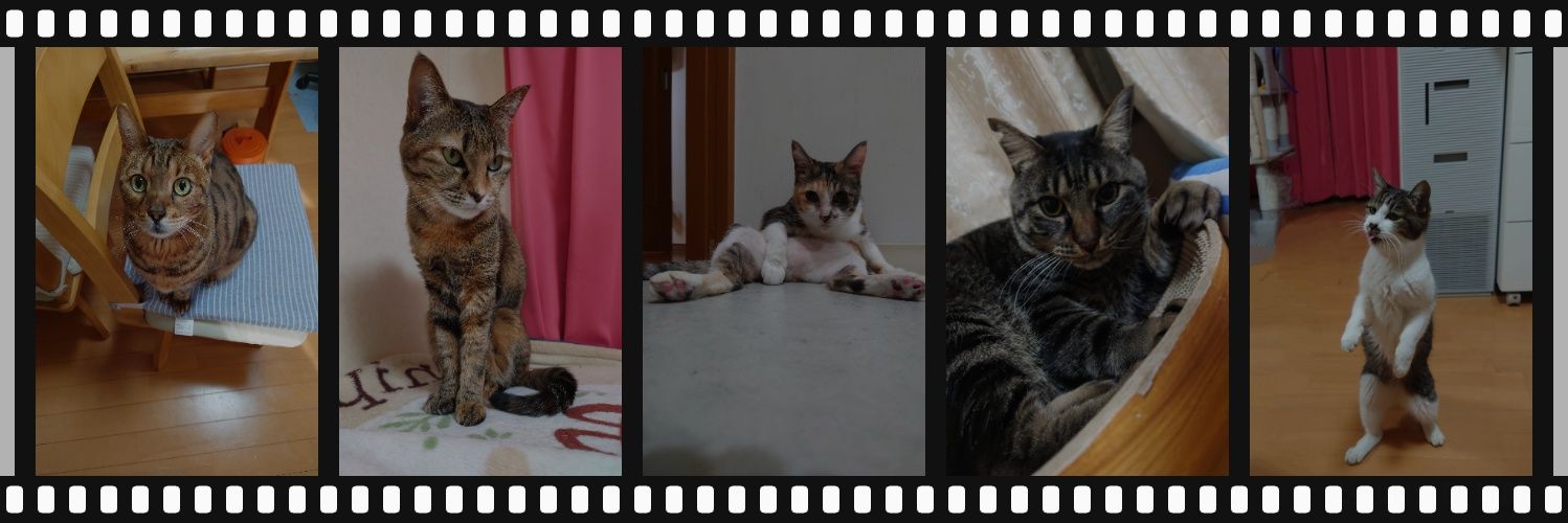 tanamarude's profile banner image