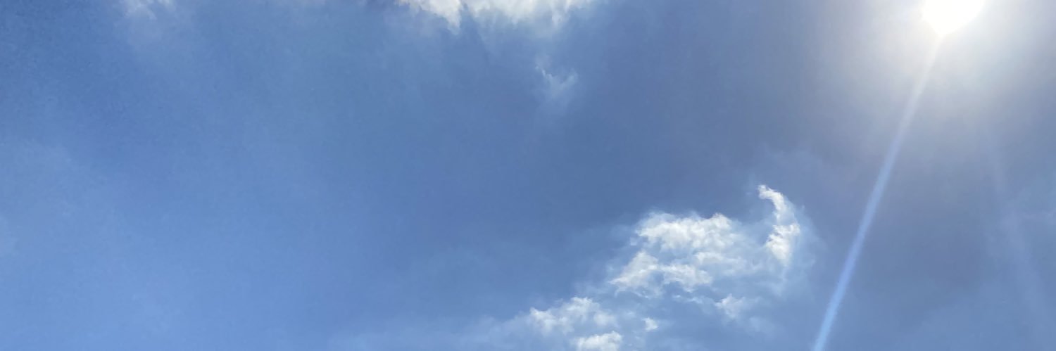 gottosanz's profile banner image