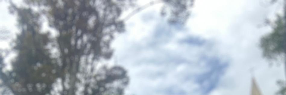 wialcome's profile banner image
