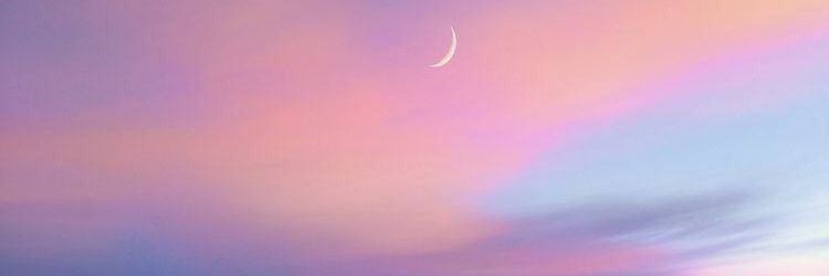 Shahed🌸's banner