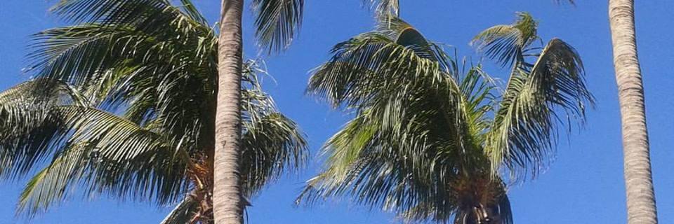 JorgmaryL's profile banner image