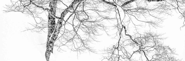 stevehurd Profile Banner