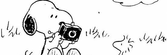 🐈 banner