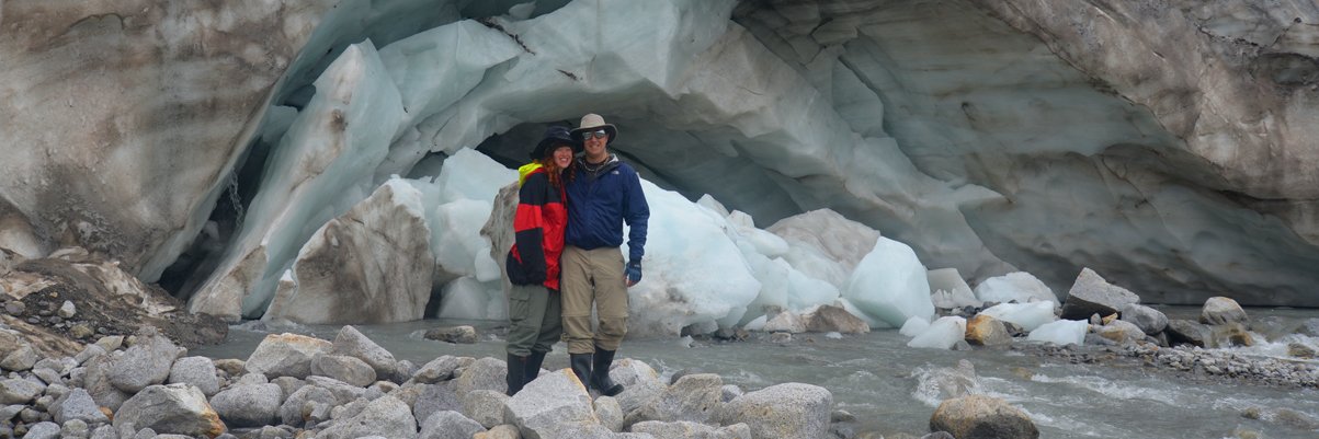 The Wild Images banner