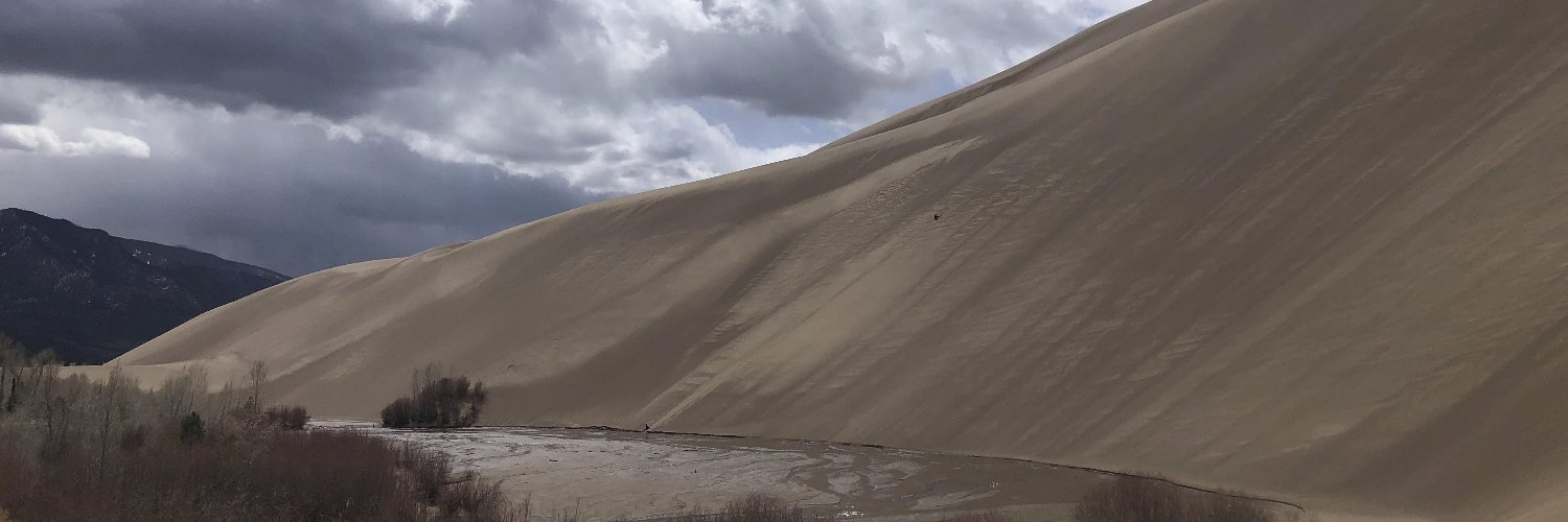 Patrick Norton banner