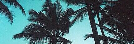 Léo banner