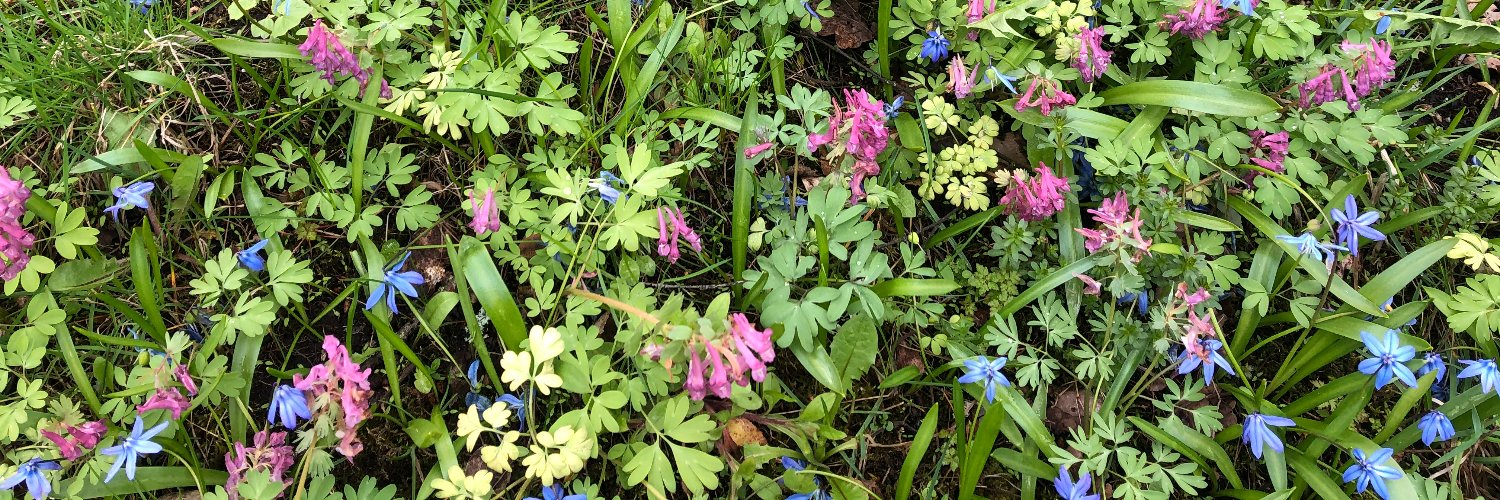 Gunilla Asker banner