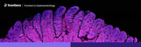FrontGastro Profile Banner
