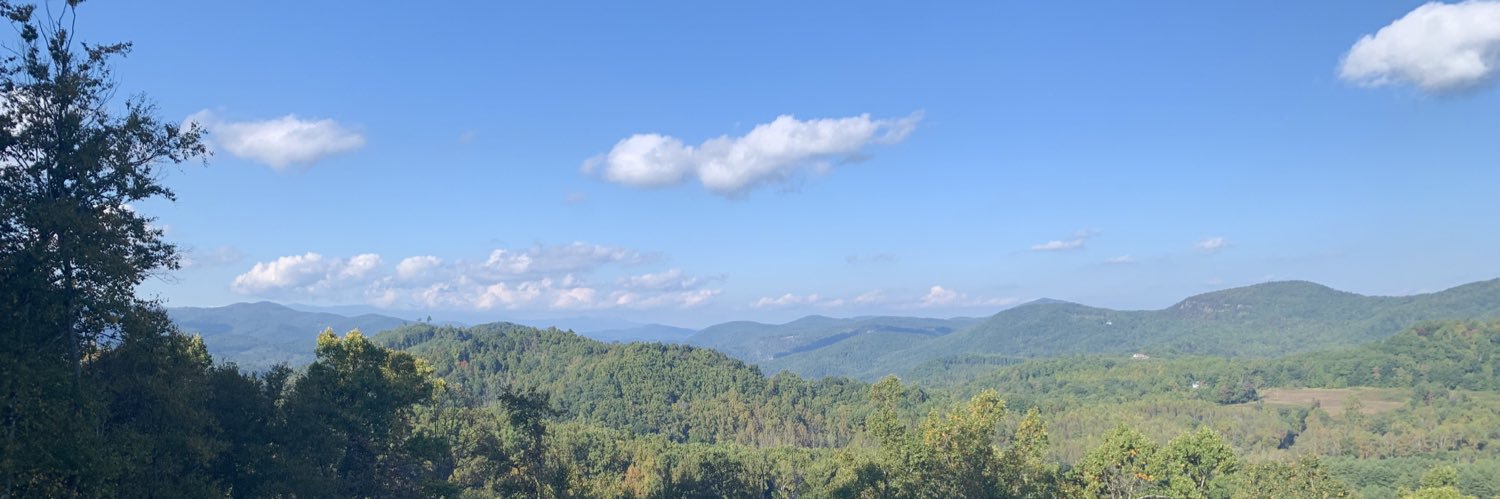 Kate Scarborough banner