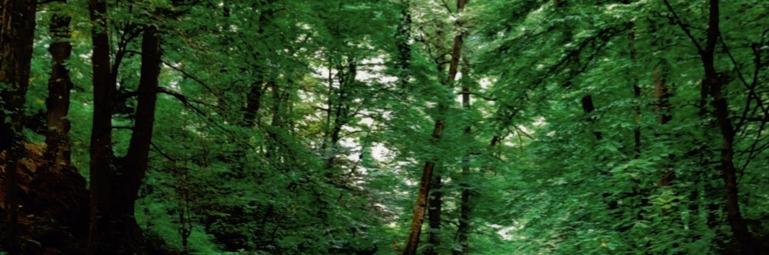 مَکوش مرگِما banner