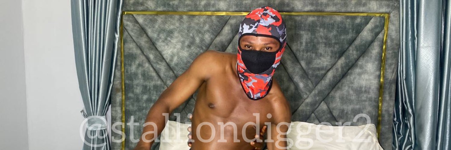 STALLIONDIGGER🍆 banner