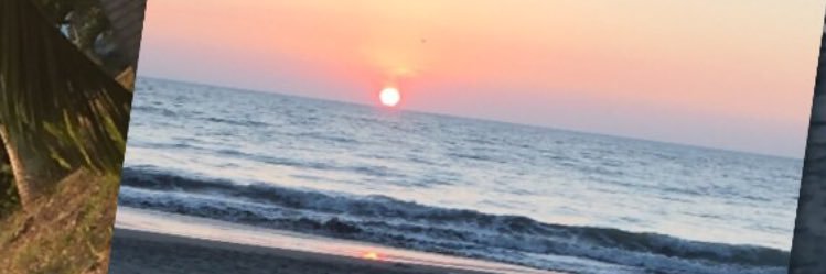 PatriciaBasant2's profile banner image