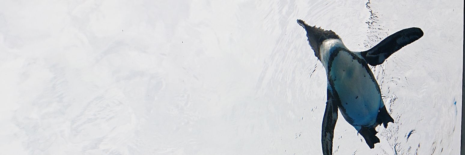 anagoforever's profile banner image