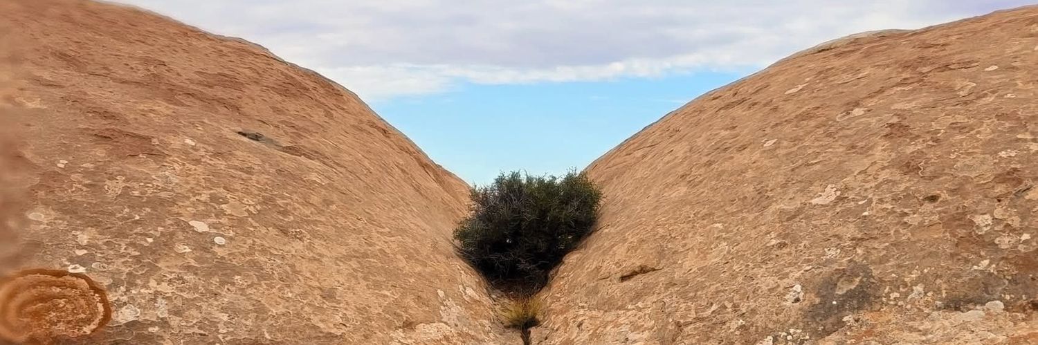 Grande Cajones banner