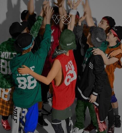 chanyeolsbth_'s profile banner image