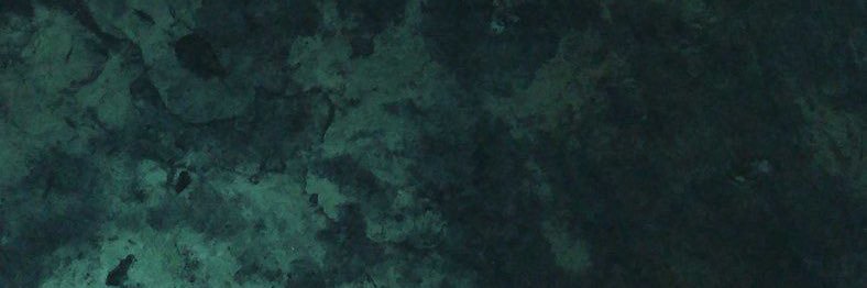 Spartan Spotlight's banner