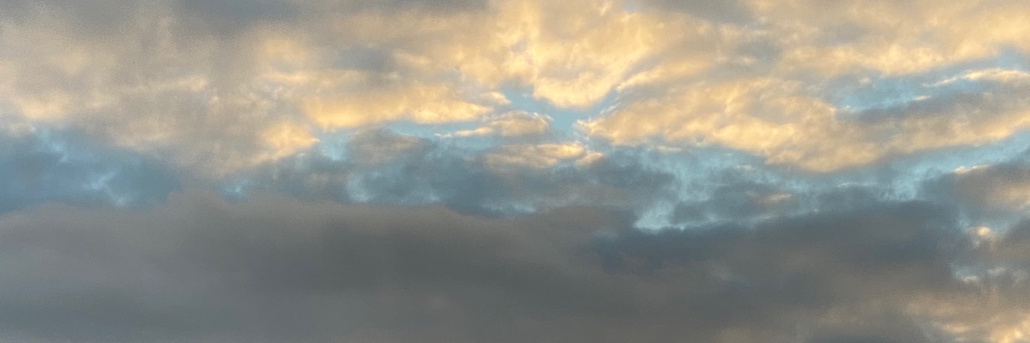 EvaKavanagh1's profile banner image