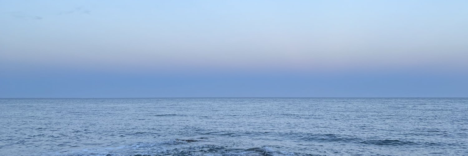Rubén Mariscal banner