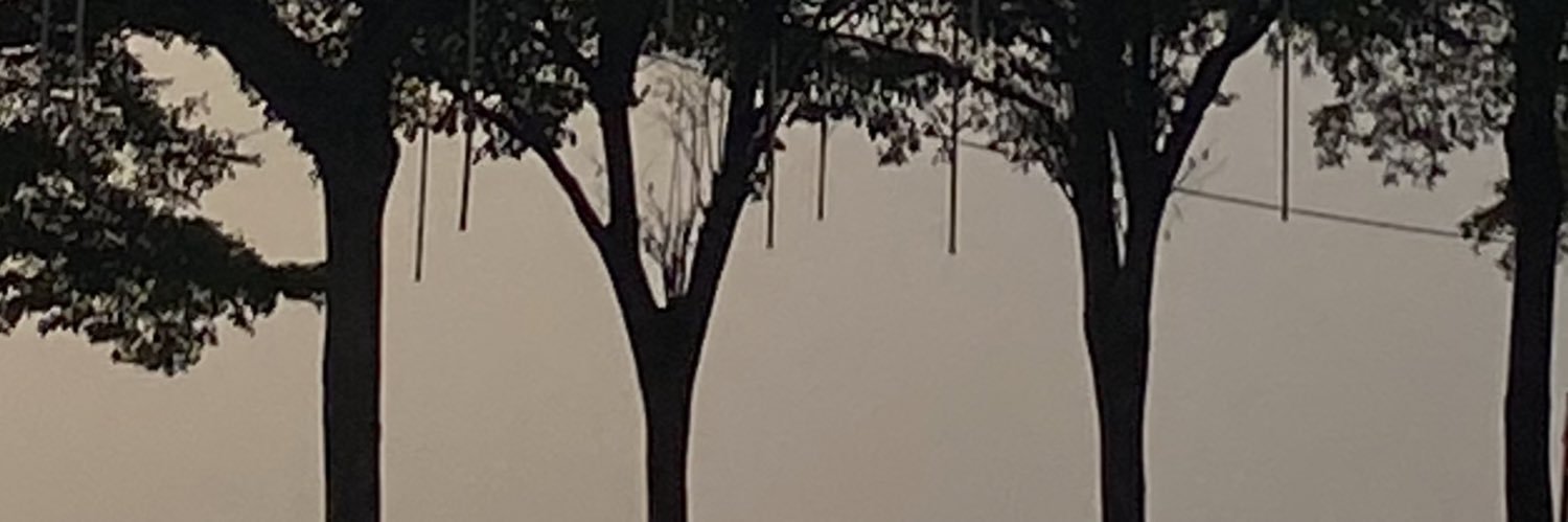 ชา banner