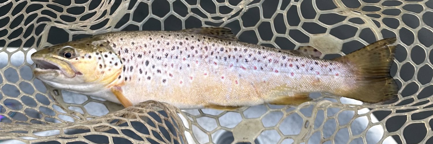 dryflyfisher71's profile banner image