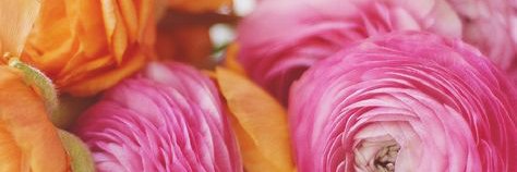 tabitasales's profile banner image