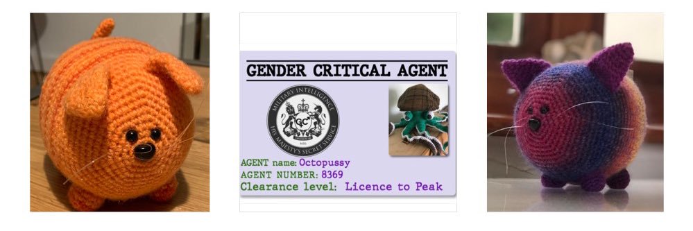 Mrs Crochet 🦖🟩⬜️🟪🎗️'s banner