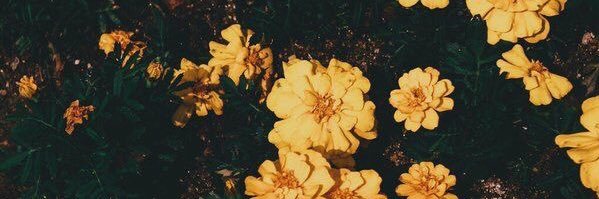 akampp's profile banner image