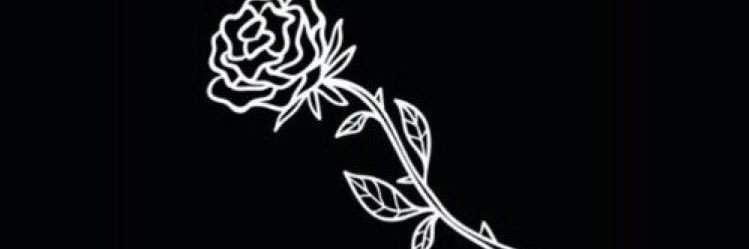 itstinisvoice's profile banner image