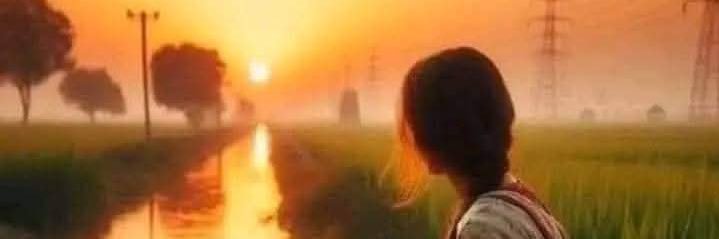 Roshni banner