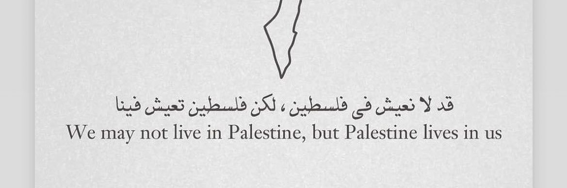 Lilia 🇵🇸 banner