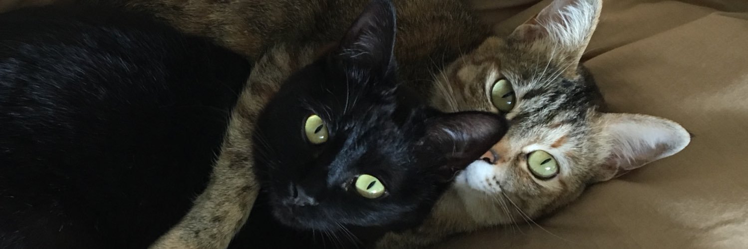 ヒロイネリ banner