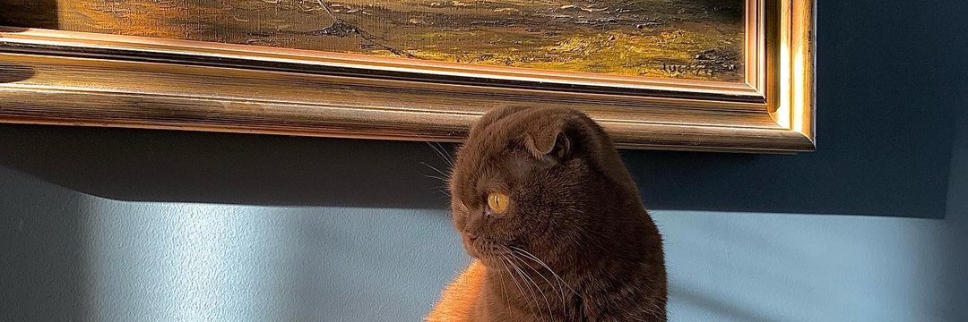 Pixikram's profile banner image