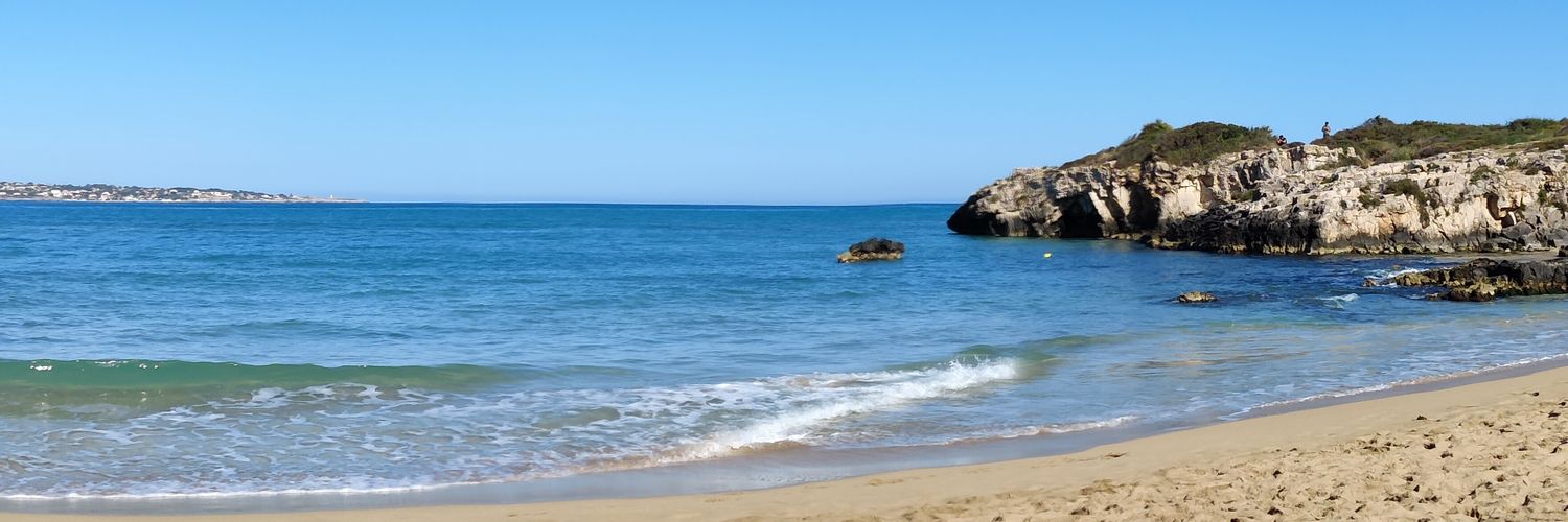 ccintoci's profile banner image