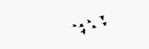 fxckingyou's profile banner image