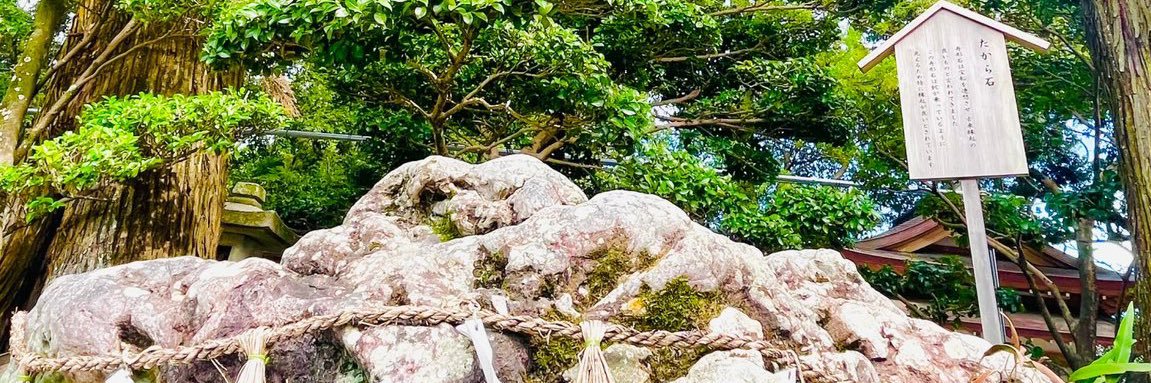 mashimonia's profile banner image