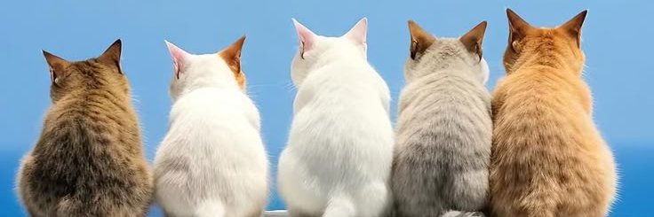 M Faizal Arganata Utomo banner