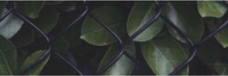 hopelessstyles_'s profile banner image